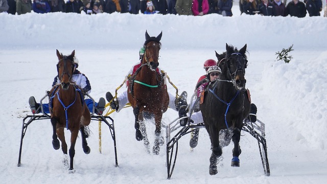 防沙治沙筑“绿色长城” 多措并举建“绿色银行”  新疆和田为沙漠“锁边”.