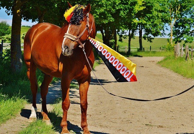 用个人能力 用个人能力