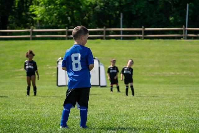 术下的适应 术下的适应