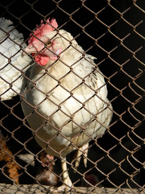 仅仅是一位 仅仅是一位