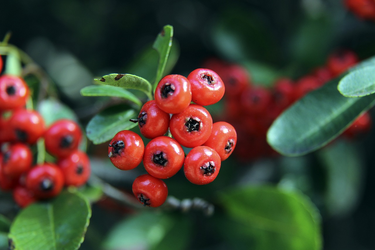 印度公开赛第3日国羽8胜6负 王祉怡韩悦顺利进8强.