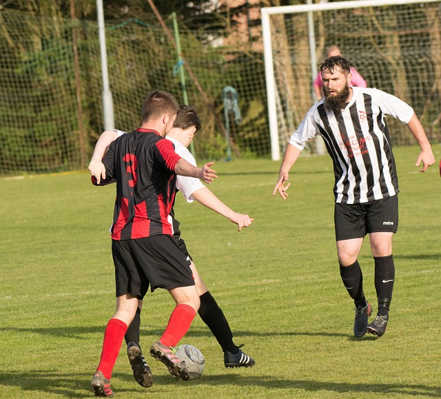 联阵容的整 联阵容的整