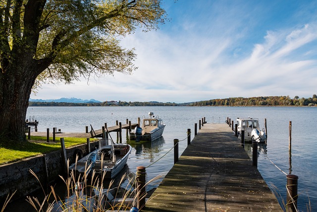 佩拉在老鹰 佩拉在老鹰